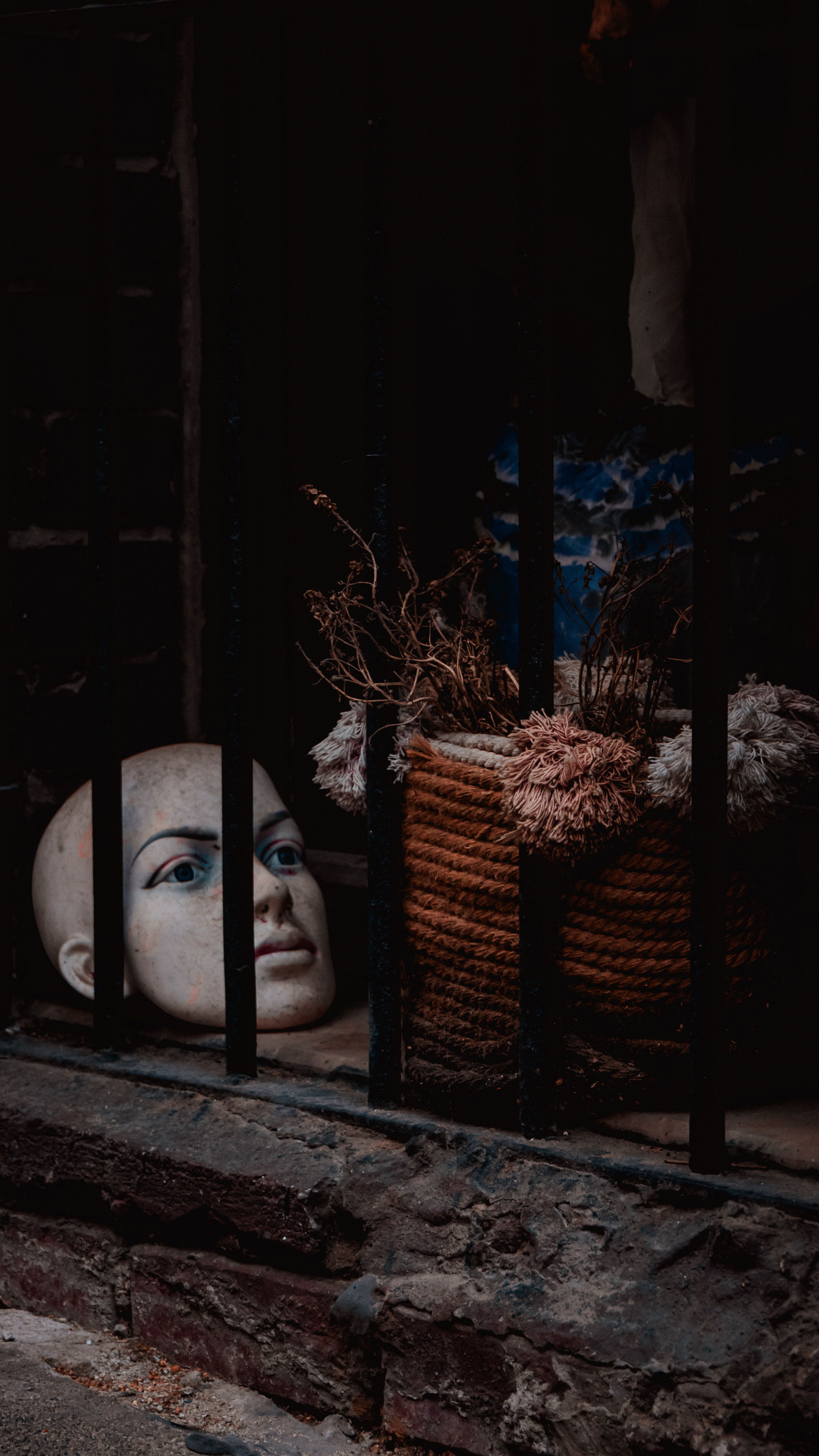 A haunting still life featuring a mannequin head and dried plants in a dark, moody setting behind bars.