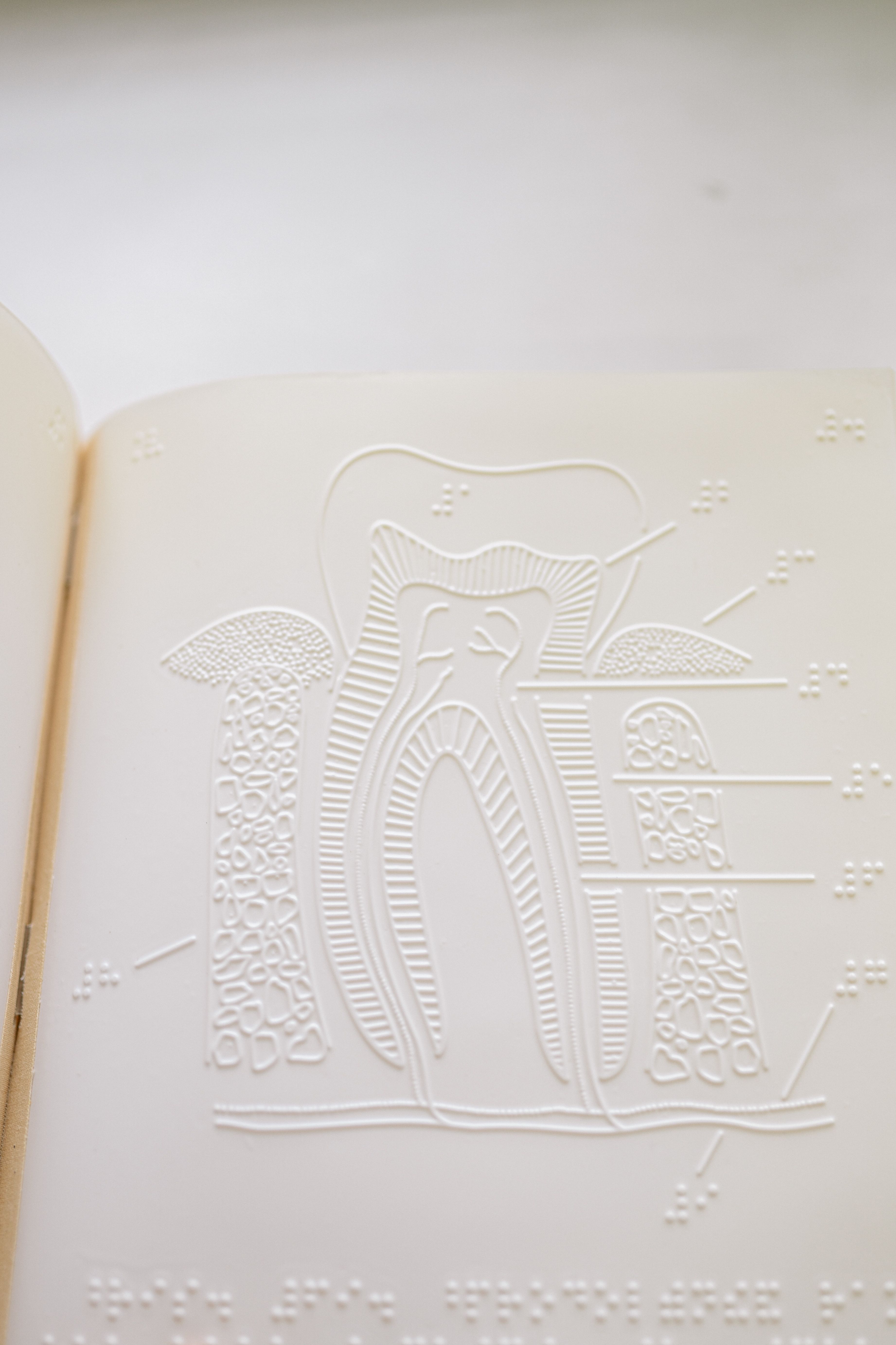 Close-up of an embossed braille book page illustrating human tooth anatomy, accessible for visually impaired.
